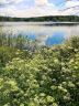 IMG-20170701-WA0006.jpg