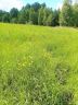 IMG-20170701-WA0007.jpg