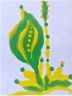 IMG-20170701-WA0023.jpg