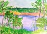 IMG-20170702-WA0001.jpg