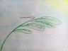 IMG-20170702-WA0004.jpg